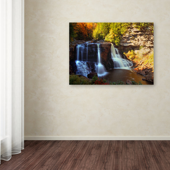 CATeyes Motion Canvas Art 16 x 24 Image 3