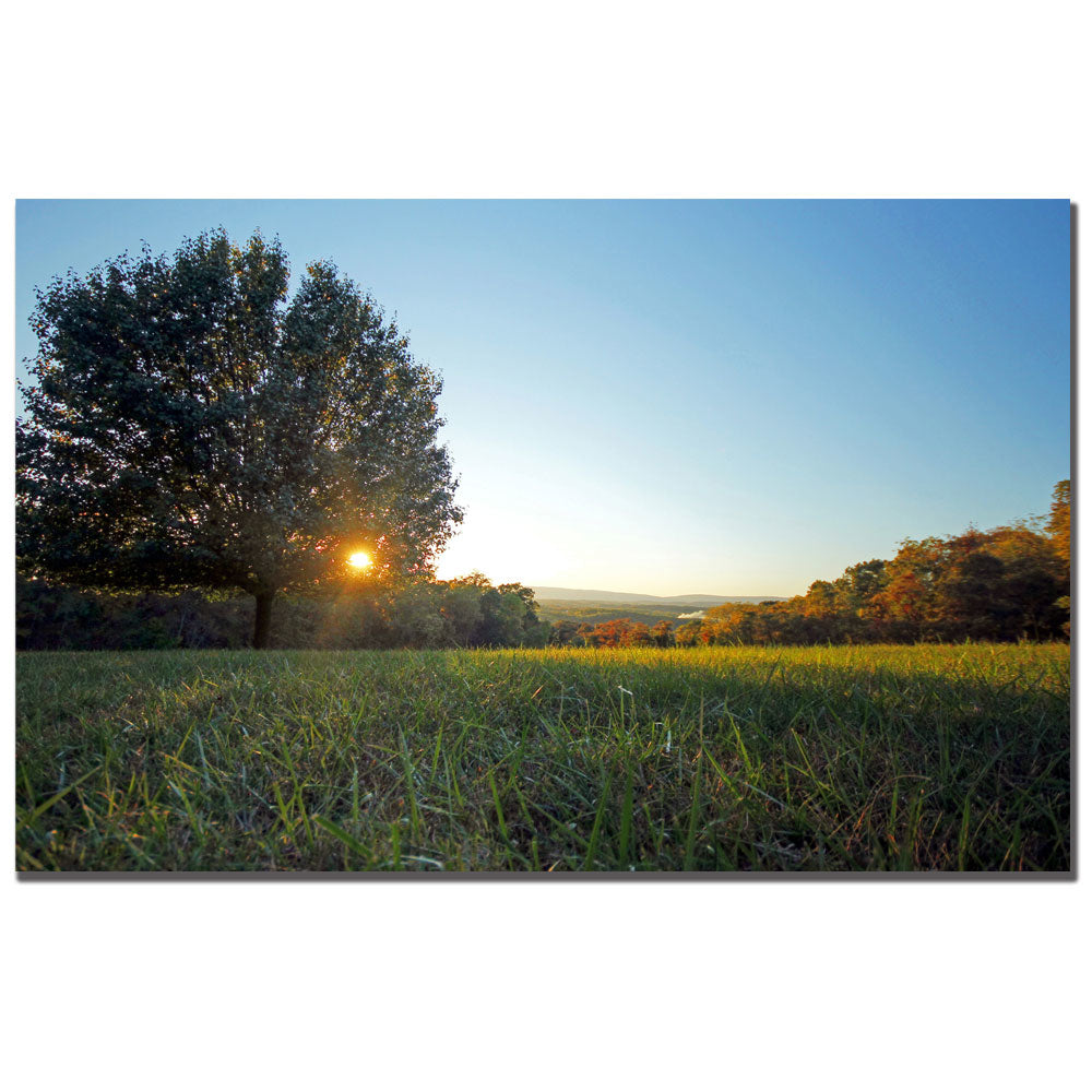 CATeyes Rejoice Canvas Art 16 x 24 Image 1