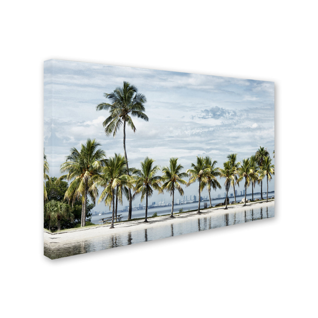 Philippe Hugonnard View of Downtown Miami Canvas Art 16 x 24 Image 2