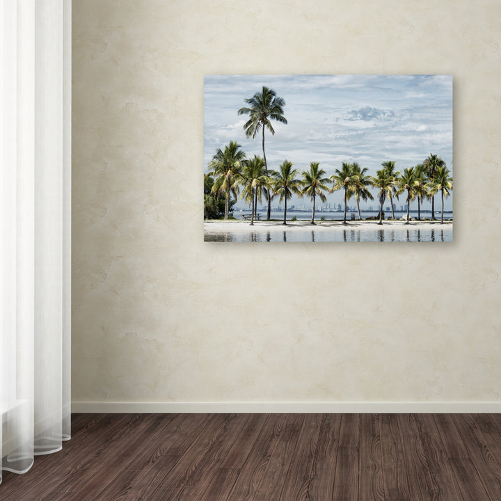 Philippe Hugonnard View of Downtown Miami Canvas Art 16 x 24 Image 3