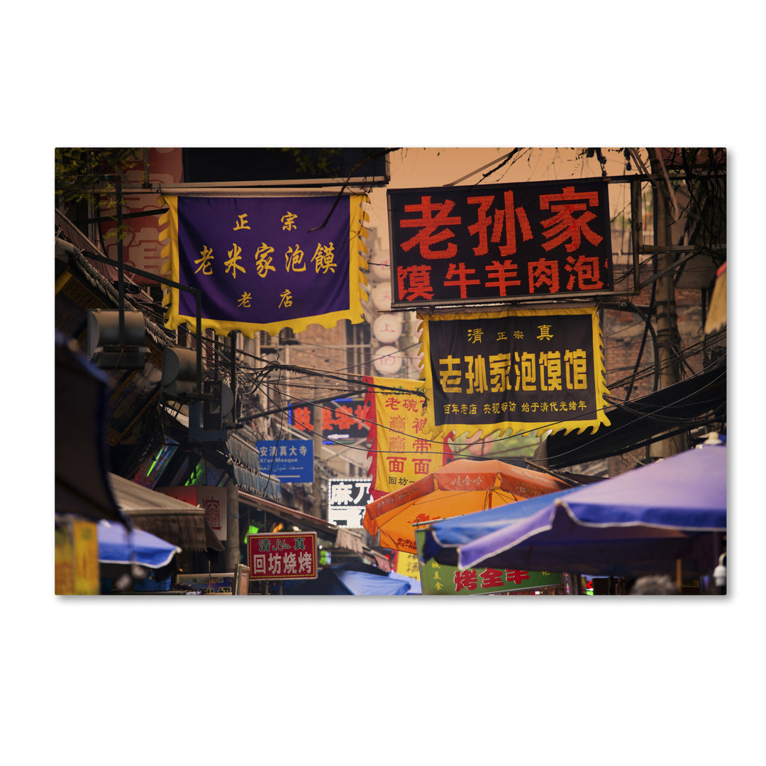 Philippe Hugonnard Street Signs Canvas Art 16 x 24 Image 1