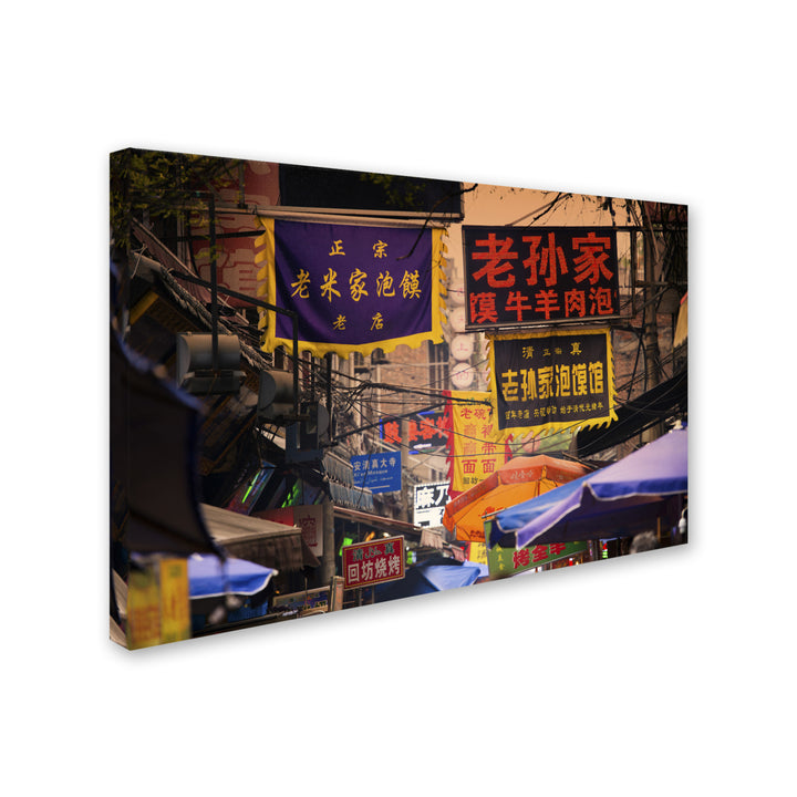 Philippe Hugonnard Street Signs Canvas Art 16 x 24 Image 2