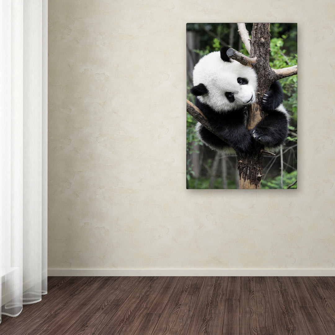 Philippe Hugonnard Giant Panda IV Canvas Art 16 x 24 Image 3