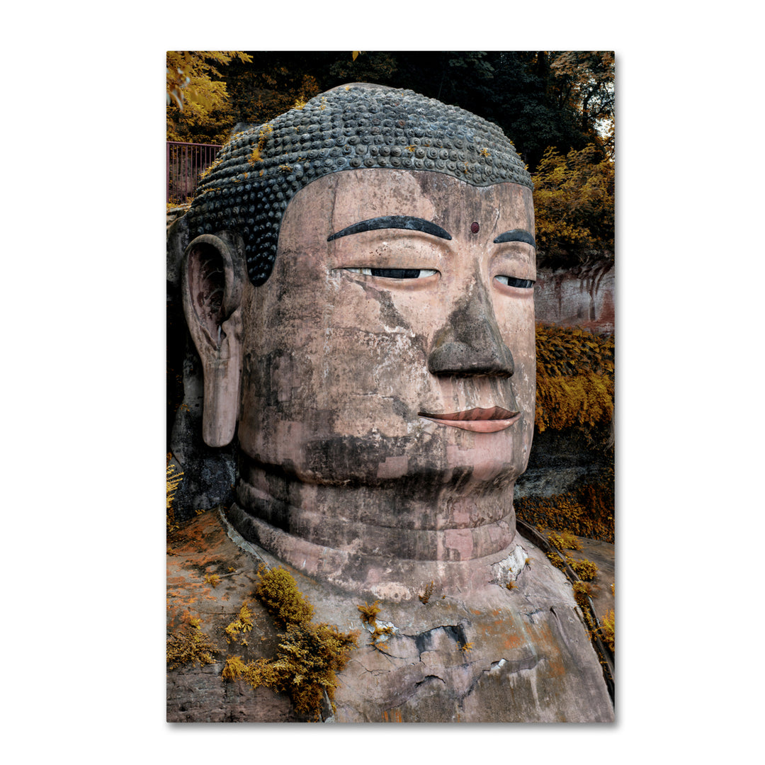 Philippe Hugonnard Giant Buddha VI Canvas Art 16 x 24 Image 1
