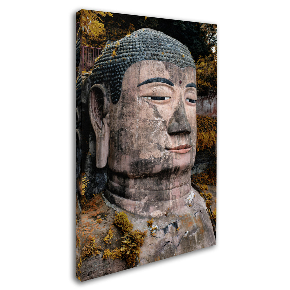 Philippe Hugonnard Giant Buddha VI Canvas Art 16 x 24 Image 2