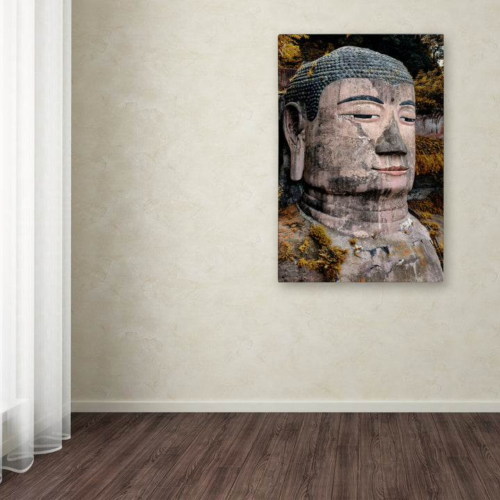 Philippe Hugonnard Giant Buddha VI Canvas Art 16 x 24 Image 3