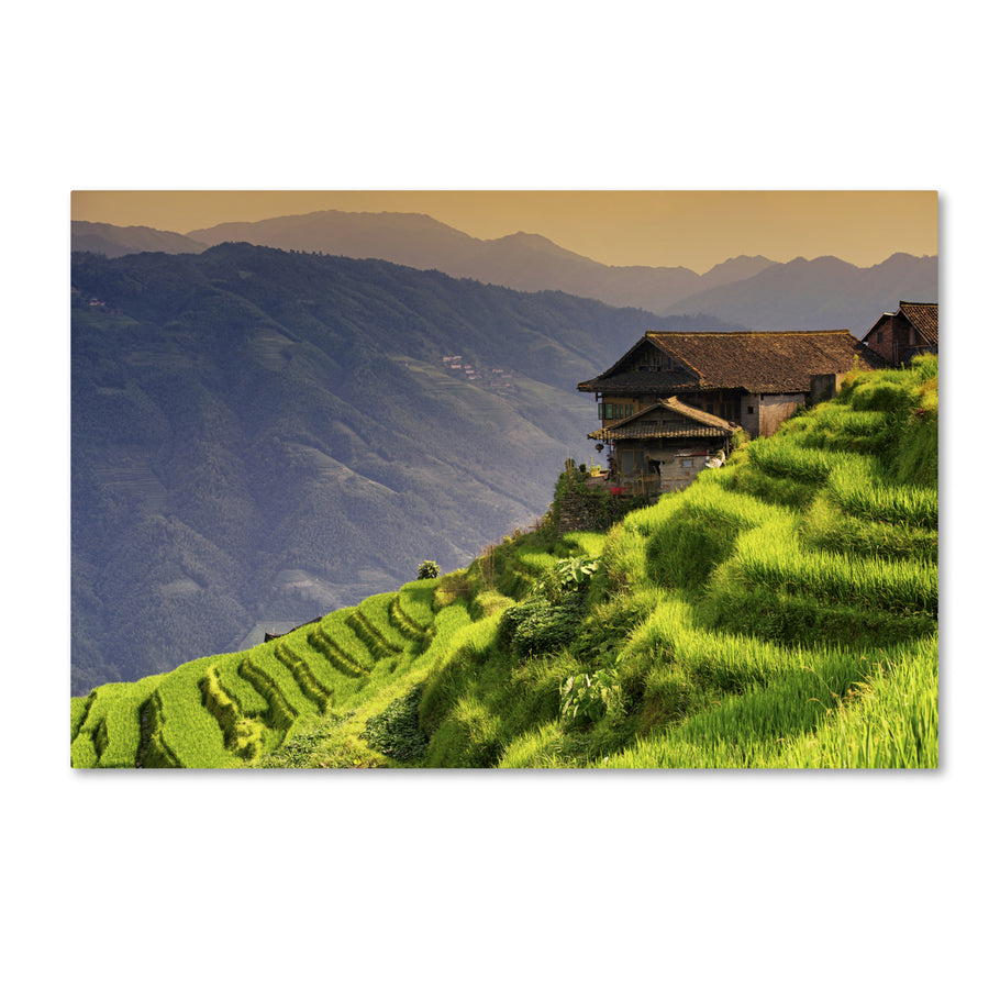 Philippe Hugonnard Rice Terraces Canvas Art 16 x 24 Image 1