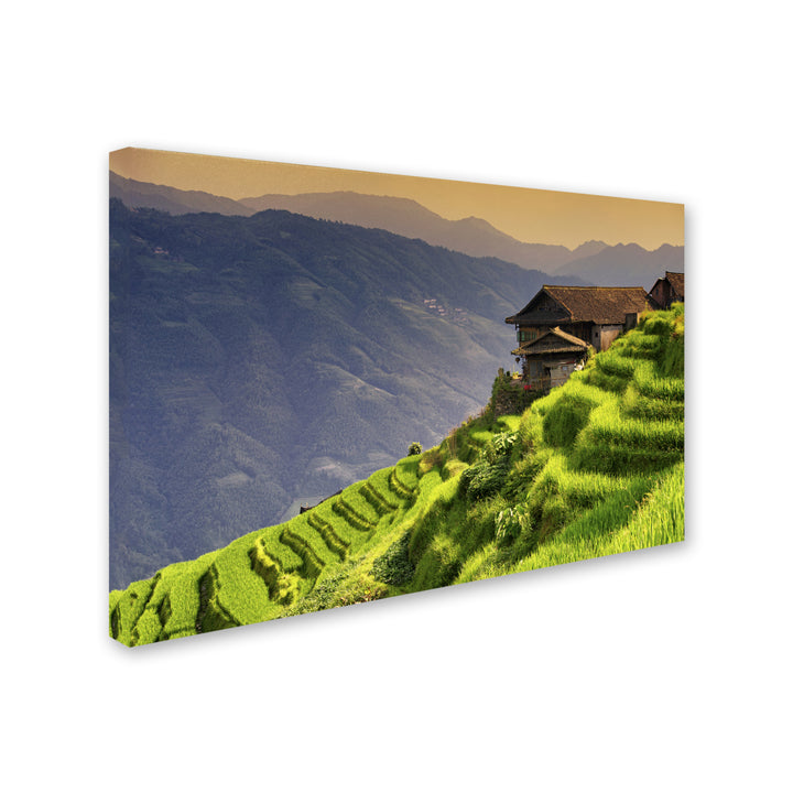 Philippe Hugonnard Rice Terraces Canvas Art 16 x 24 Image 2