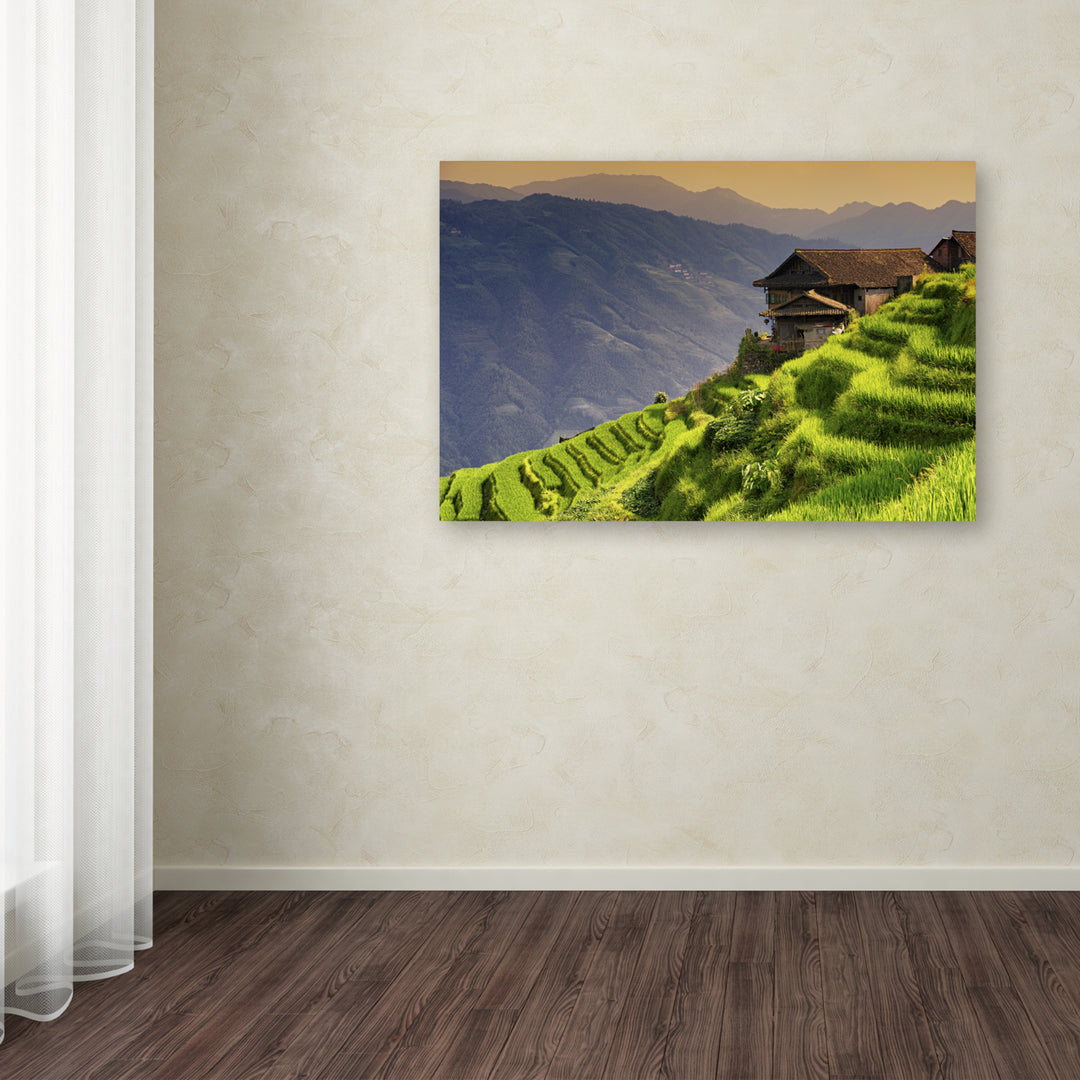 Philippe Hugonnard Rice Terraces Canvas Art 16 x 24 Image 3