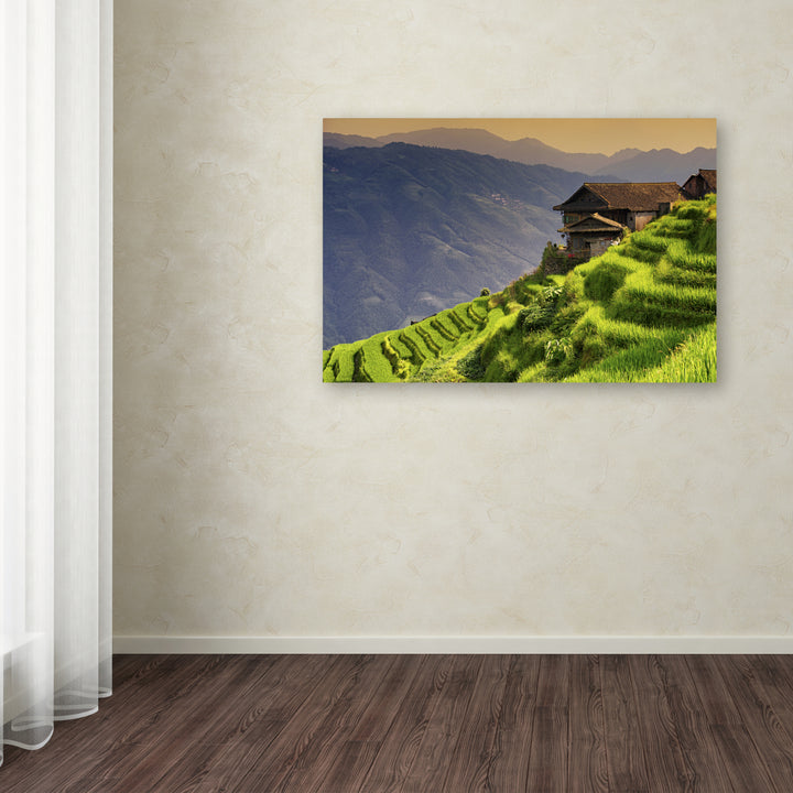 Philippe Hugonnard Rice Terraces Canvas Art 16 x 24 Image 3