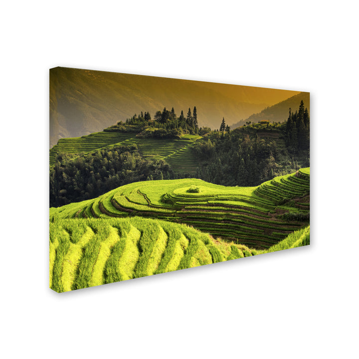 Philippe Hugonnard Sunset Rice Canvas Art 16 x 24 Image 2