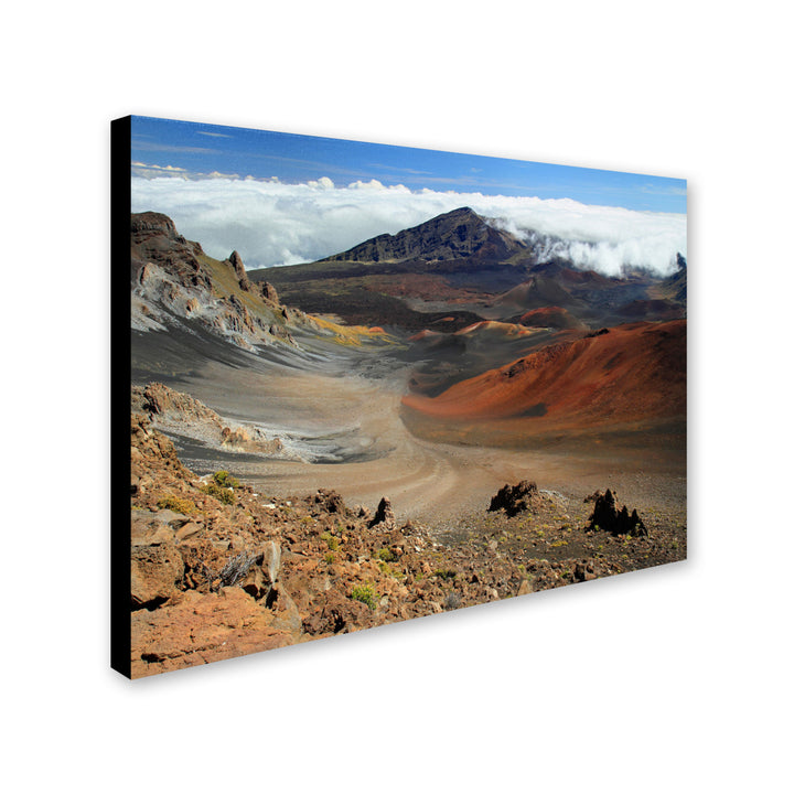 Pierre Leclerc Haleakala Maui Canvas Art 16 x 24 Image 2