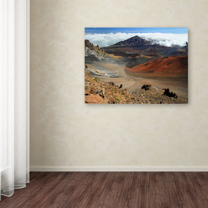 Pierre Leclerc Haleakala Maui Canvas Art 16 x 24 Image 3