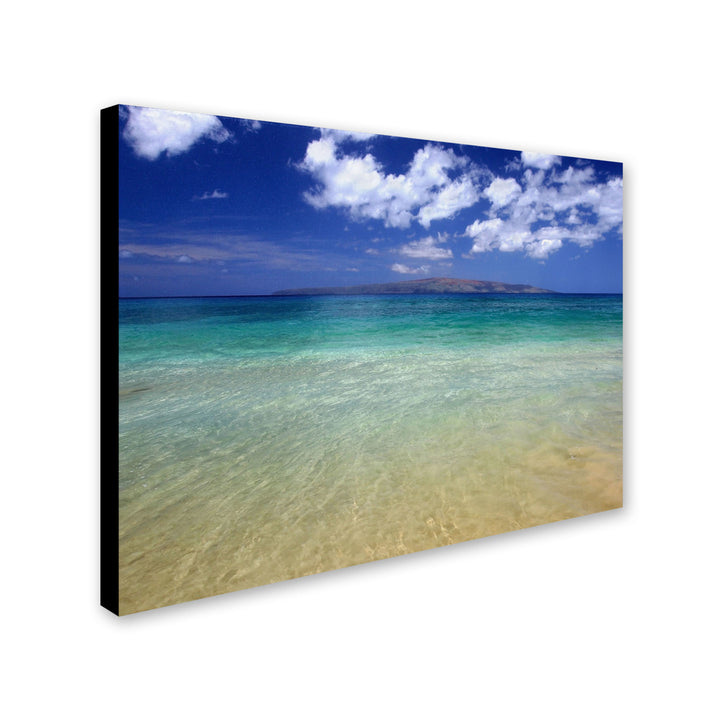 Pierre Leclerc Hawaii Blue Beach Canvas Art 16 x 24 Image 2