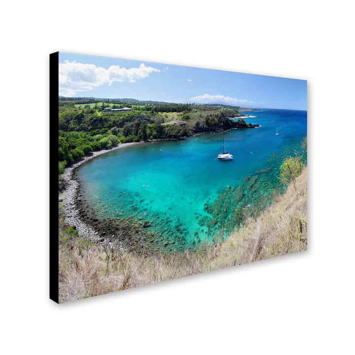 Pierre Leclerc Honolua Bay Canvas Art 16 x 24 Image 2