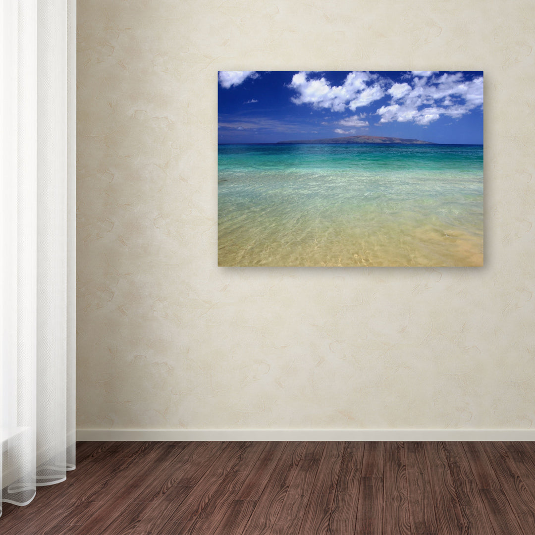 Pierre Leclerc Hawaii Blue Beach Canvas Art 16 x 24 Image 3