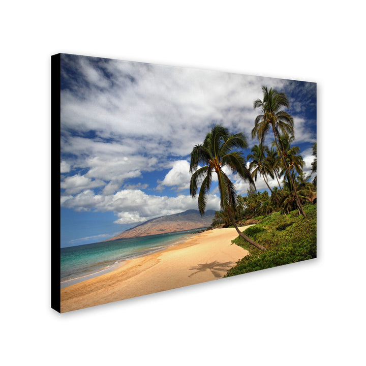 Pierre Leclerc Kamaole Tropical Canvas Art 16 x 24 Image 2