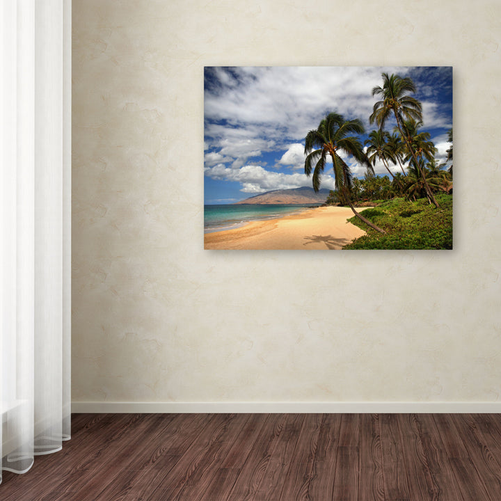 Pierre Leclerc Kamaole Tropical Canvas Art 16 x 24 Image 3