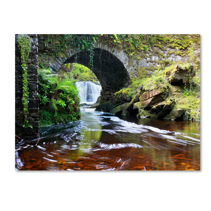 Pierre Leclerc Lush River Canvas Art 16 x 24 Image 1