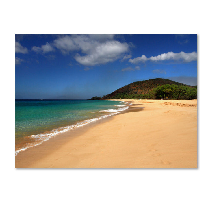 Pierre Leclerc Makena Hawaii Canvas Art 16 x 24 Image 1