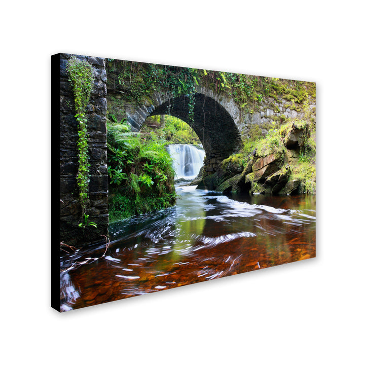 Pierre Leclerc Lush River Canvas Art 16 x 24 Image 2