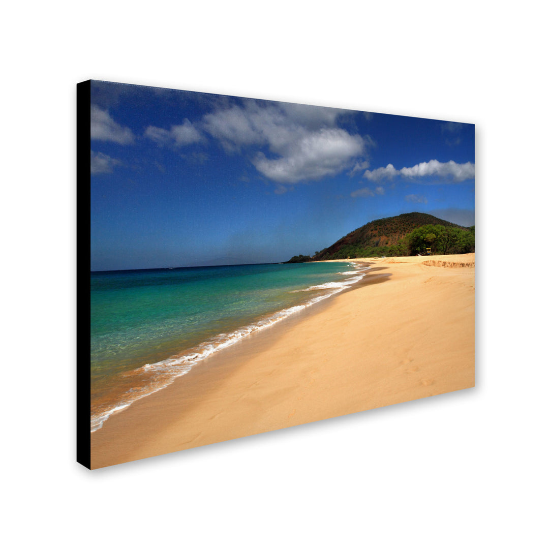 Pierre Leclerc Makena Hawaii Canvas Art 16 x 24 Image 2