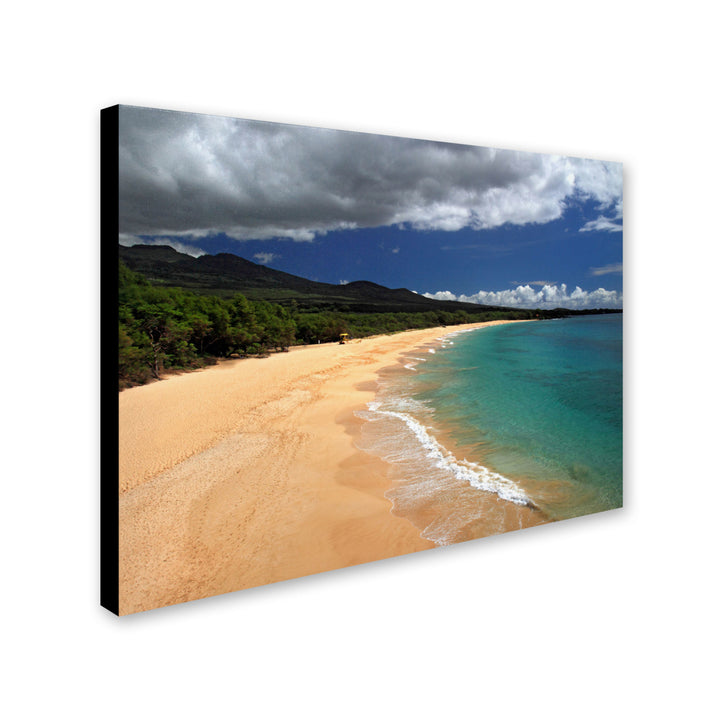 Pierre Leclerc Makena Maui Canvas Art 16 x 24 Image 2