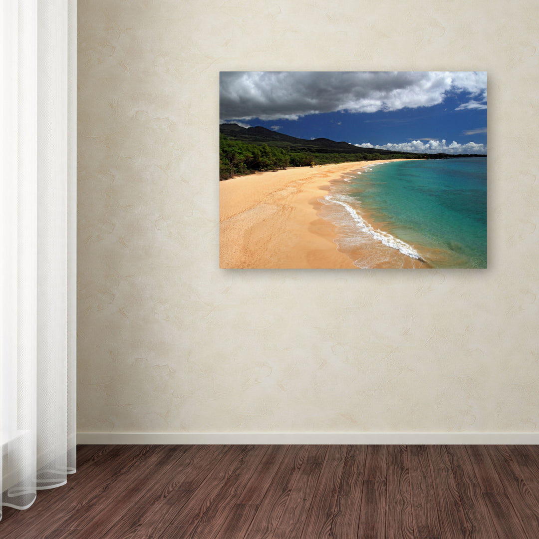 Pierre Leclerc Makena Maui Canvas Art 16 x 24 Image 3