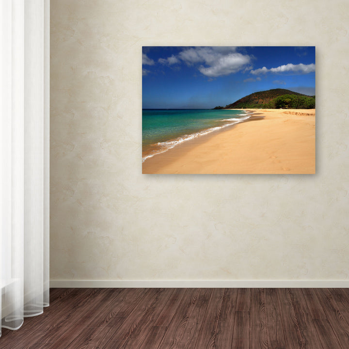 Pierre Leclerc Makena Hawaii Canvas Art 16 x 24 Image 3