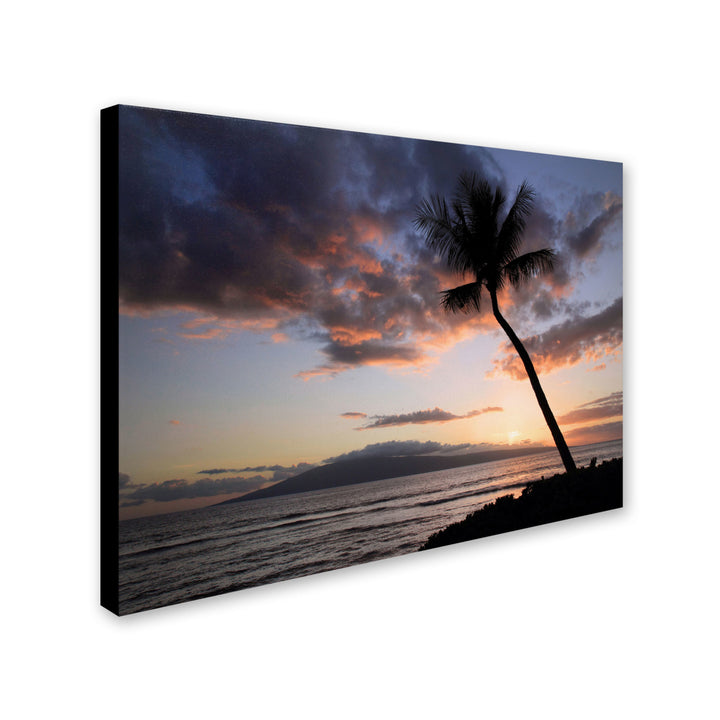 Pierre Leclerc Palm Tree Maui Canvas Art 16 x 24 Image 2