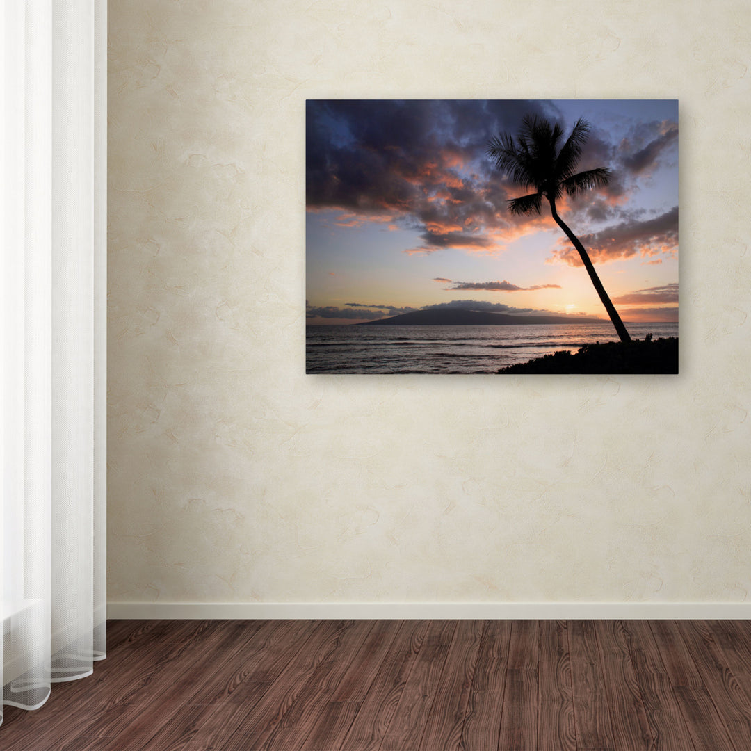 Pierre Leclerc Palm Tree Maui Canvas Art 16 x 24 Image 3