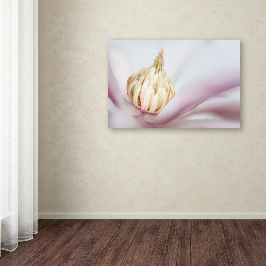Pierre Leclerc Soft Magnolia Canvas Art 16 x 24 Image 3
