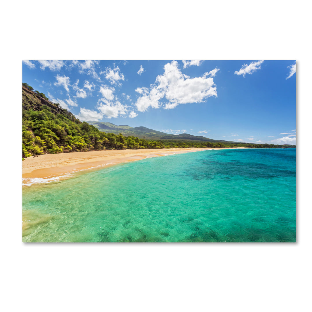 Pierre Leclerc Makena Beach Maui Canvas Art 16 x 24 Image 1