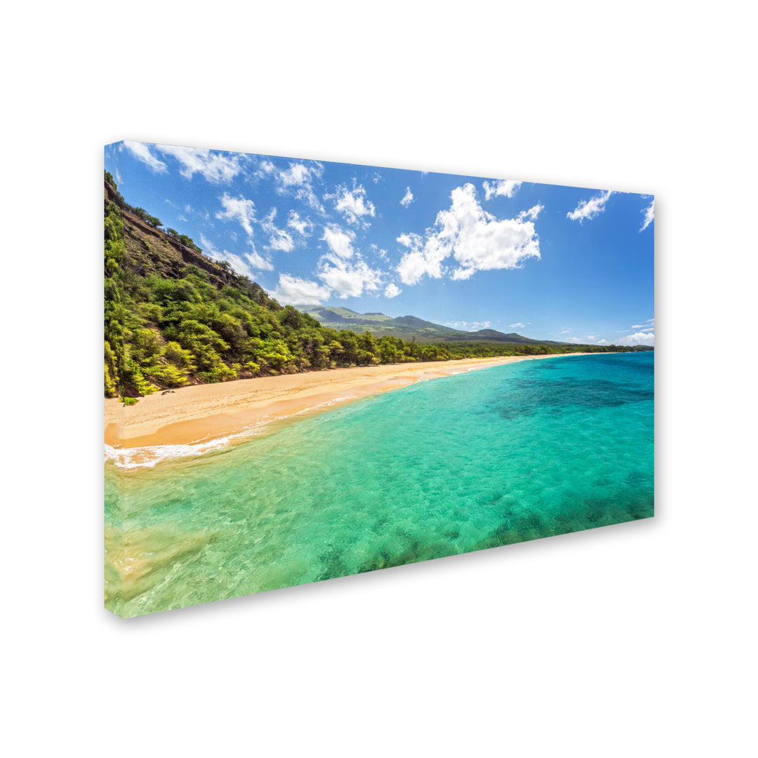 Pierre Leclerc Makena Beach Maui Canvas Art 16 x 24 Image 2