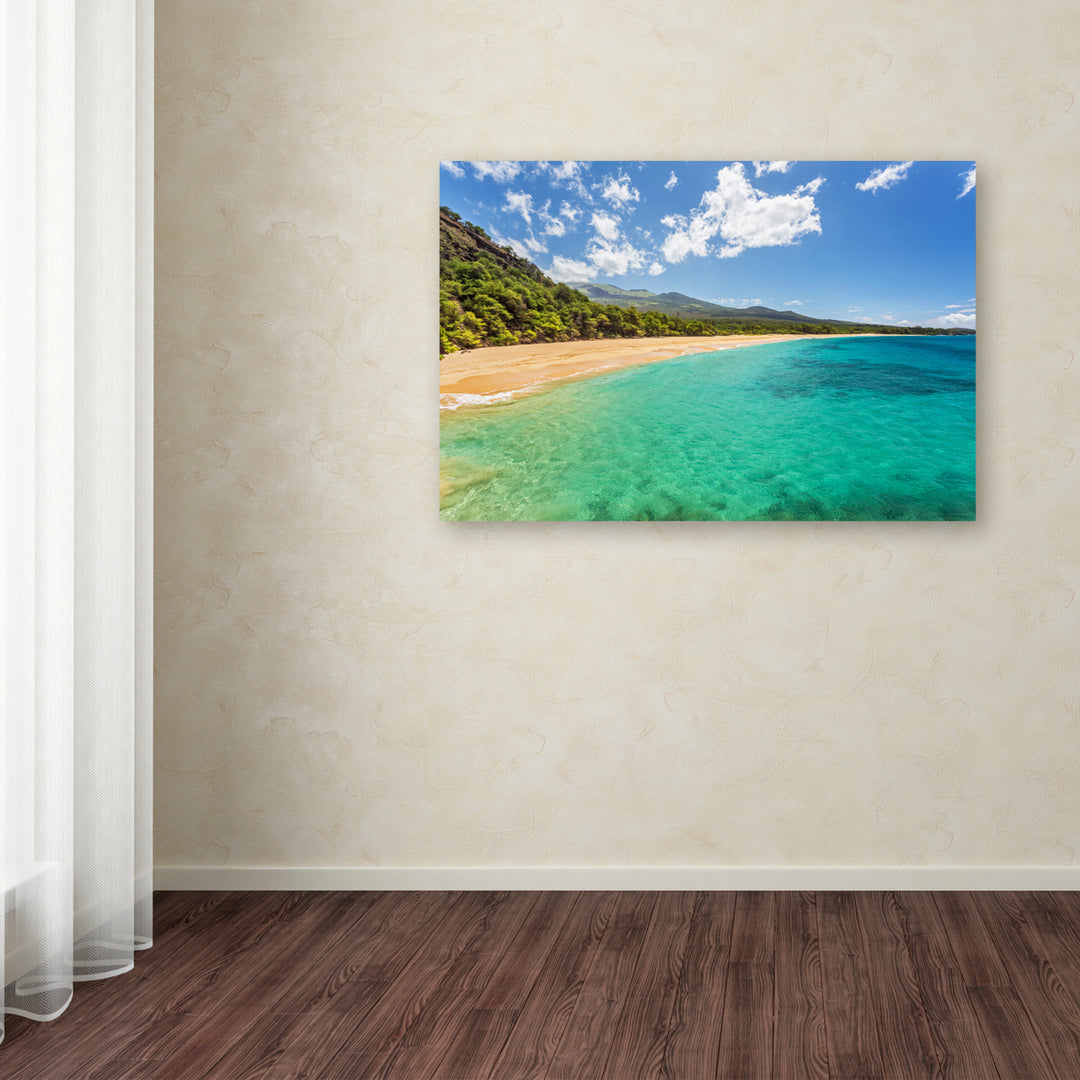 Pierre Leclerc Makena Beach Maui Canvas Art 16 x 24 Image 3