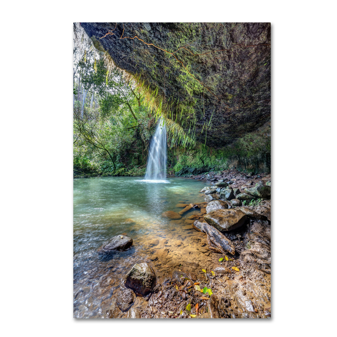 Pierre Leclerc Twin Falls Canvas Art 16 x 24 Image 1