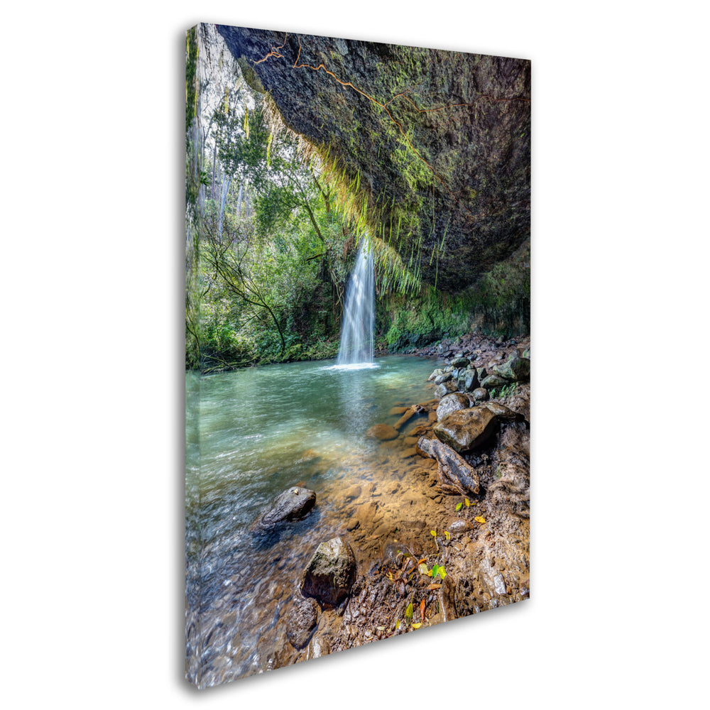 Pierre Leclerc Twin Falls Canvas Art 16 x 24 Image 2