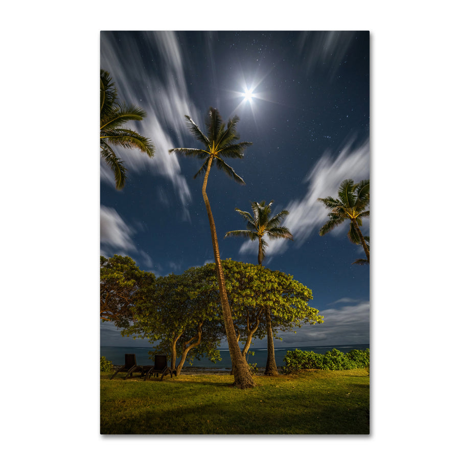 Pierre Leclerc Moonlit Palm Trees Canvas Art 16 x 24 Image 1