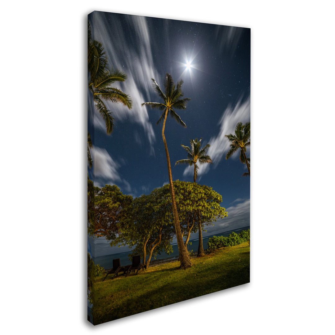 Pierre Leclerc Moonlit Palm Trees Canvas Art 16 x 24 Image 2