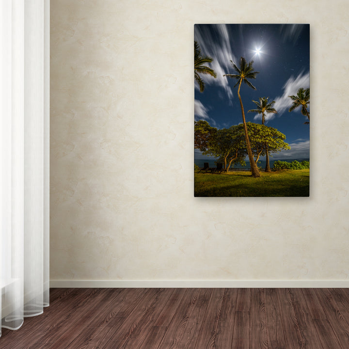 Pierre Leclerc Moonlit Palm Trees Canvas Art 16 x 24 Image 3