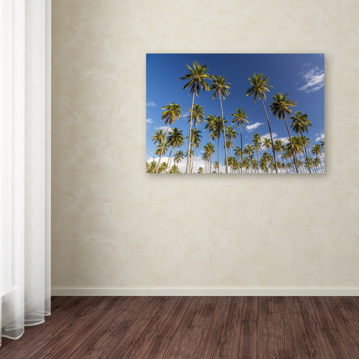 Pierre Leclerc Coconut Grove Canvas Art 16 x 24 Image 3