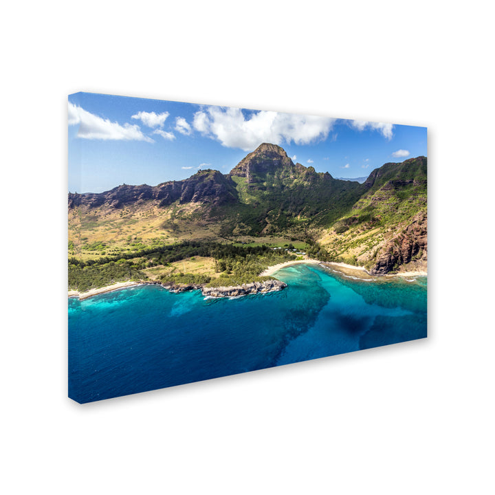 Pierre Leclerc Kauai from the Air Canvas Art 16 x 24 Image 2