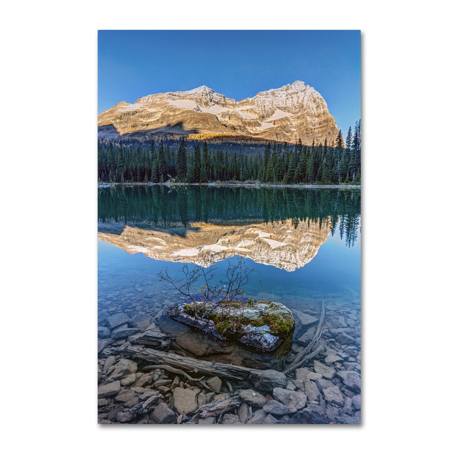 Pierre Leclerc Calm OHara Lake Sunrise Canvas Art 16 x 24 Image 1