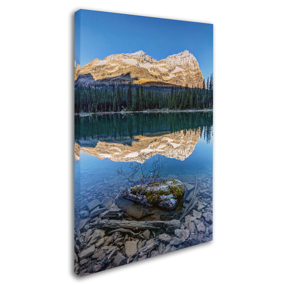 Pierre Leclerc Calm OHara Lake Sunrise Canvas Art 16 x 24 Image 2