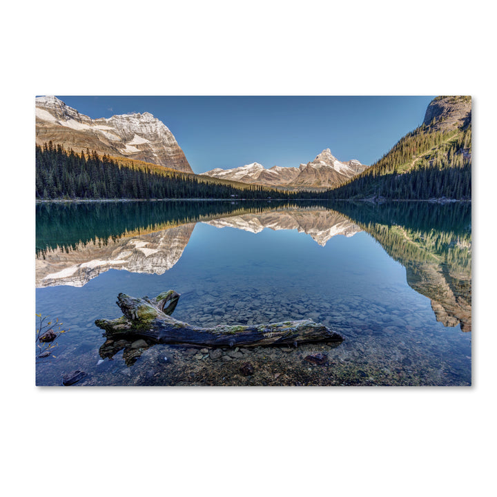 Pierre Leclerc Lake OHara Reflection Canvas Art 16 x 24 Image 1