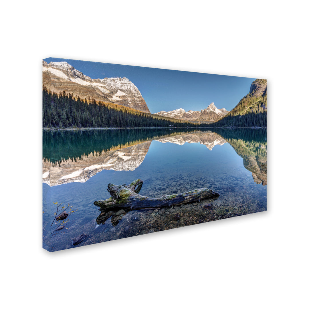 Pierre Leclerc Lake OHara Reflection Canvas Art 16 x 24 Image 2