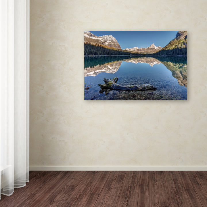 Pierre Leclerc Lake OHara Reflection Canvas Art 16 x 24 Image 3