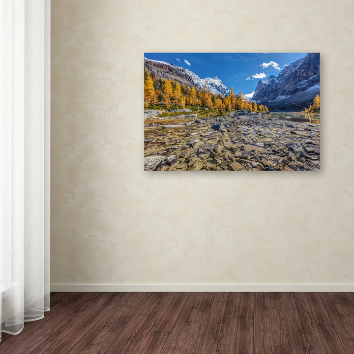 Pierre Leclerc Autumn at the Opabin Plateau Canvas Art 16 x 24 Image 3