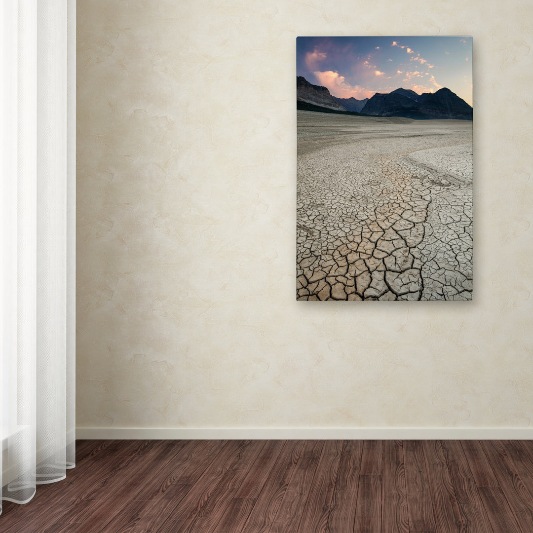 Pierre Leclerc Shoreline Texture Canvas Art 16 x 24 Image 3