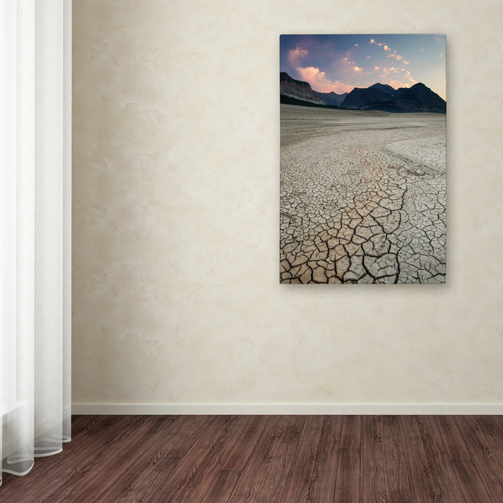 Pierre Leclerc Shoreline Texture Canvas Art 16 x 24 Image 3